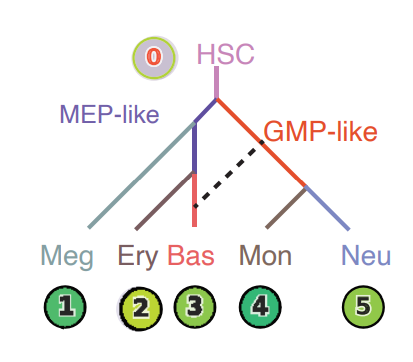 fig5_C