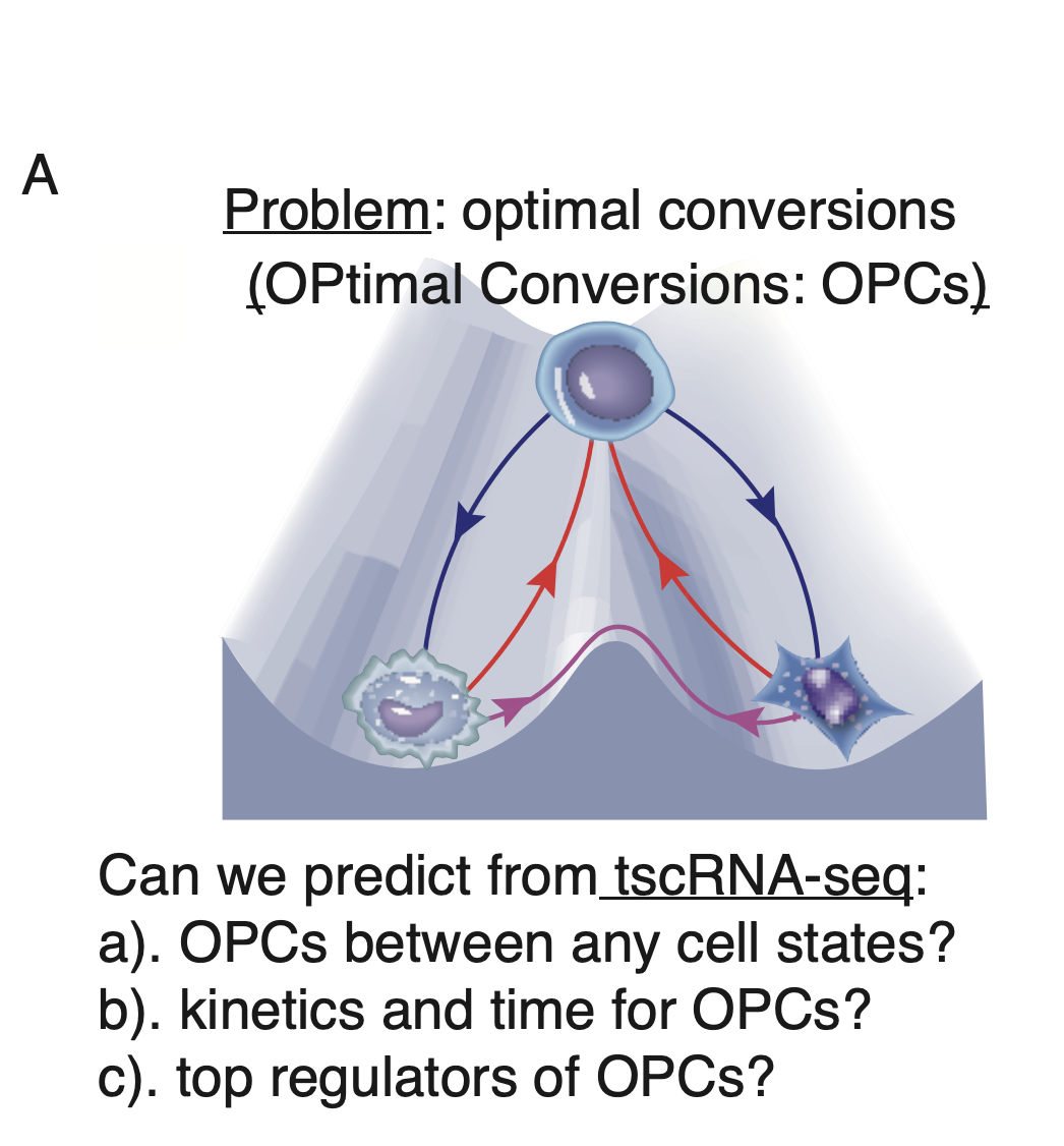 The grand problem of predicting OPtimal cell-fate Conversions(OPCs).