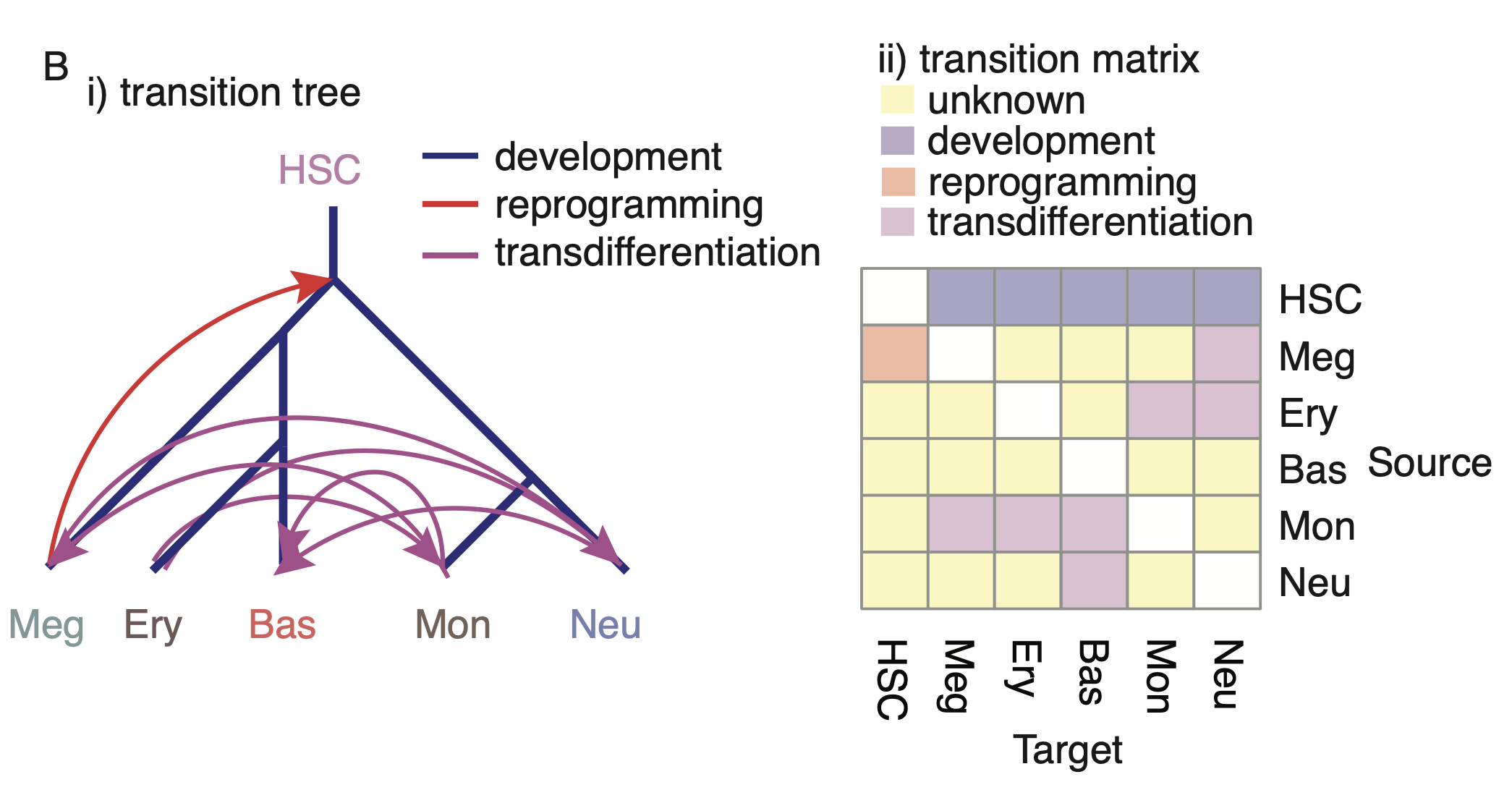 Predicting OPCs for hematopoietic cell types.